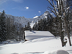 graydon hiver - JPEG - 39.7 ko